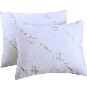 2 qlQueen Bamboo pillows